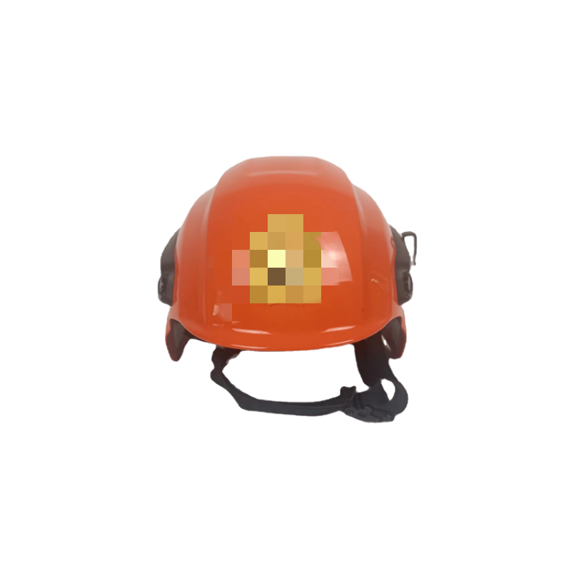 Sam's Dragon Helmets